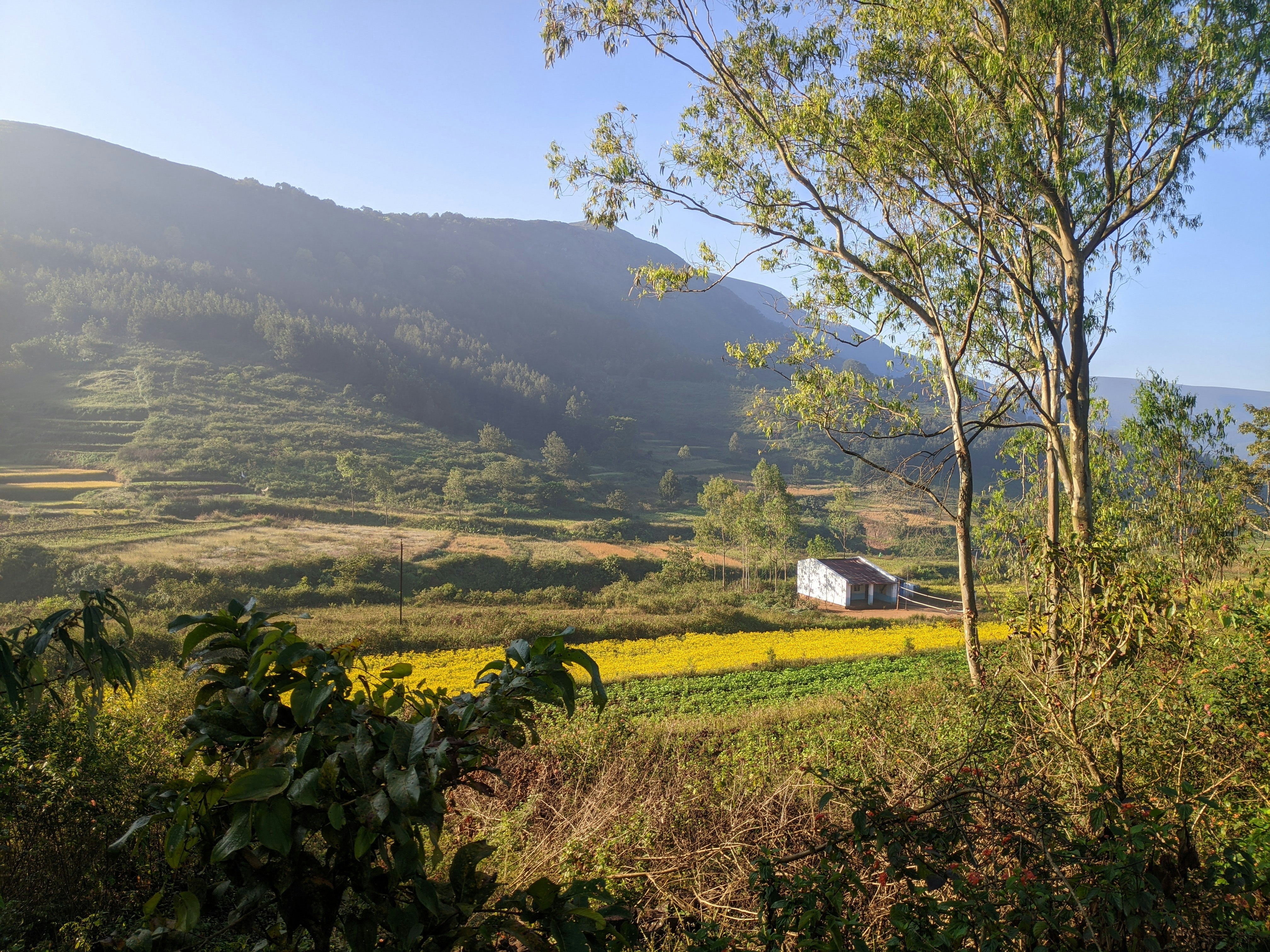 Araku Valley scenery