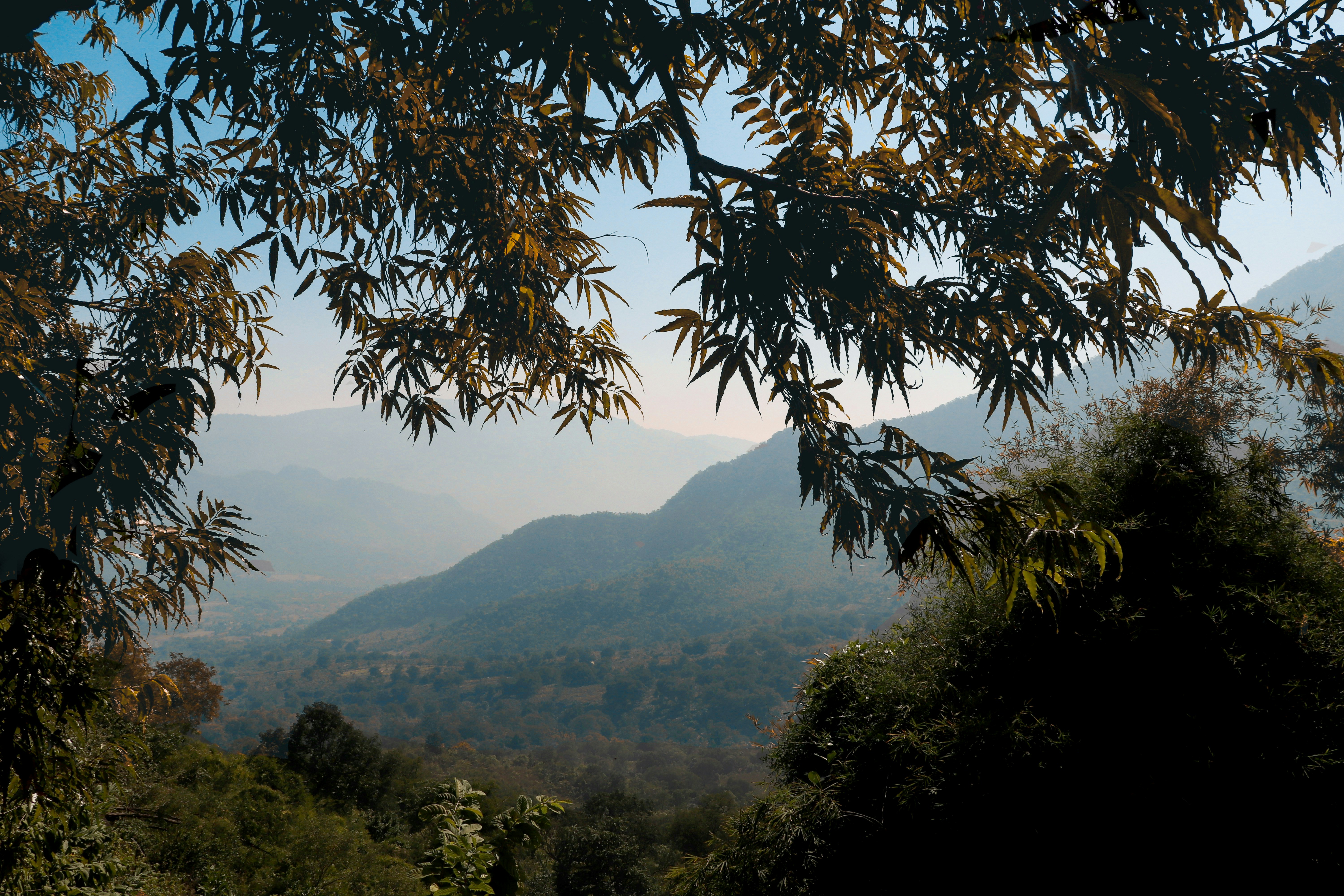 Lambasingi hills