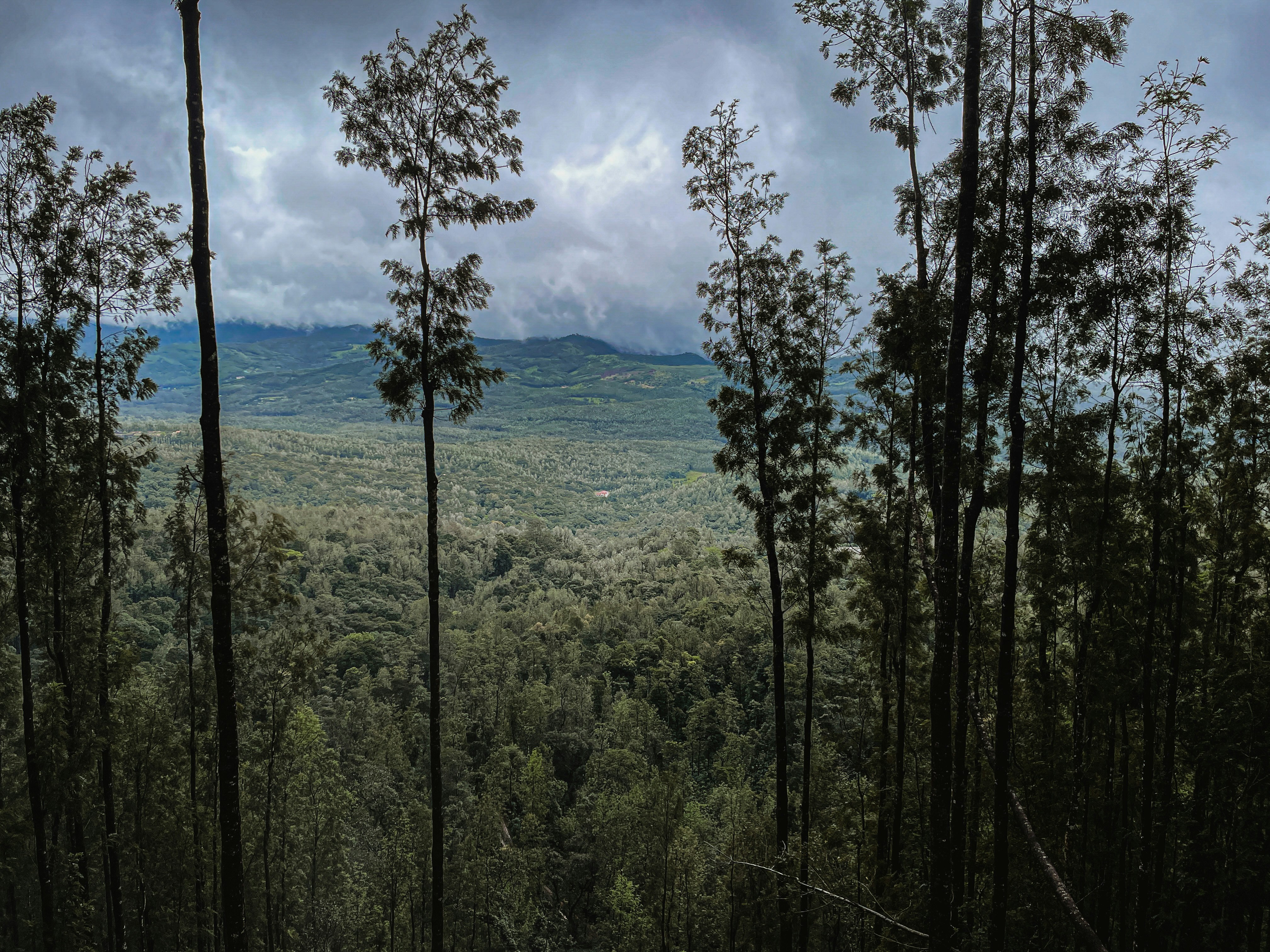 Coorg