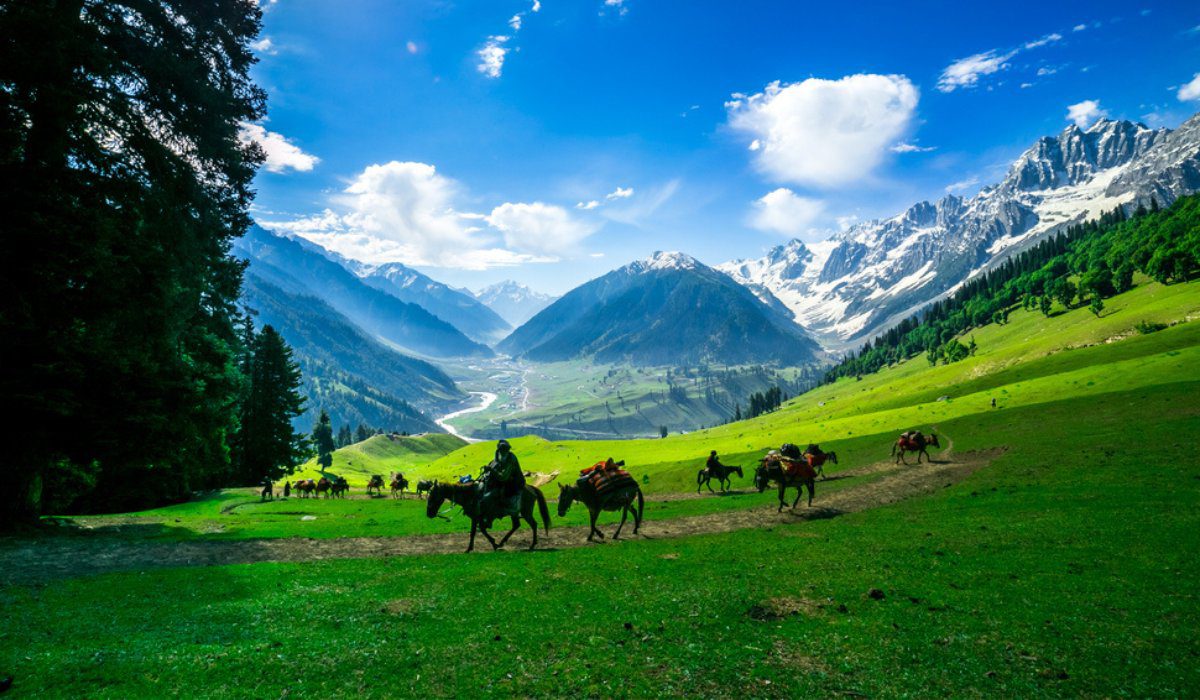 Gulmarg scenery
