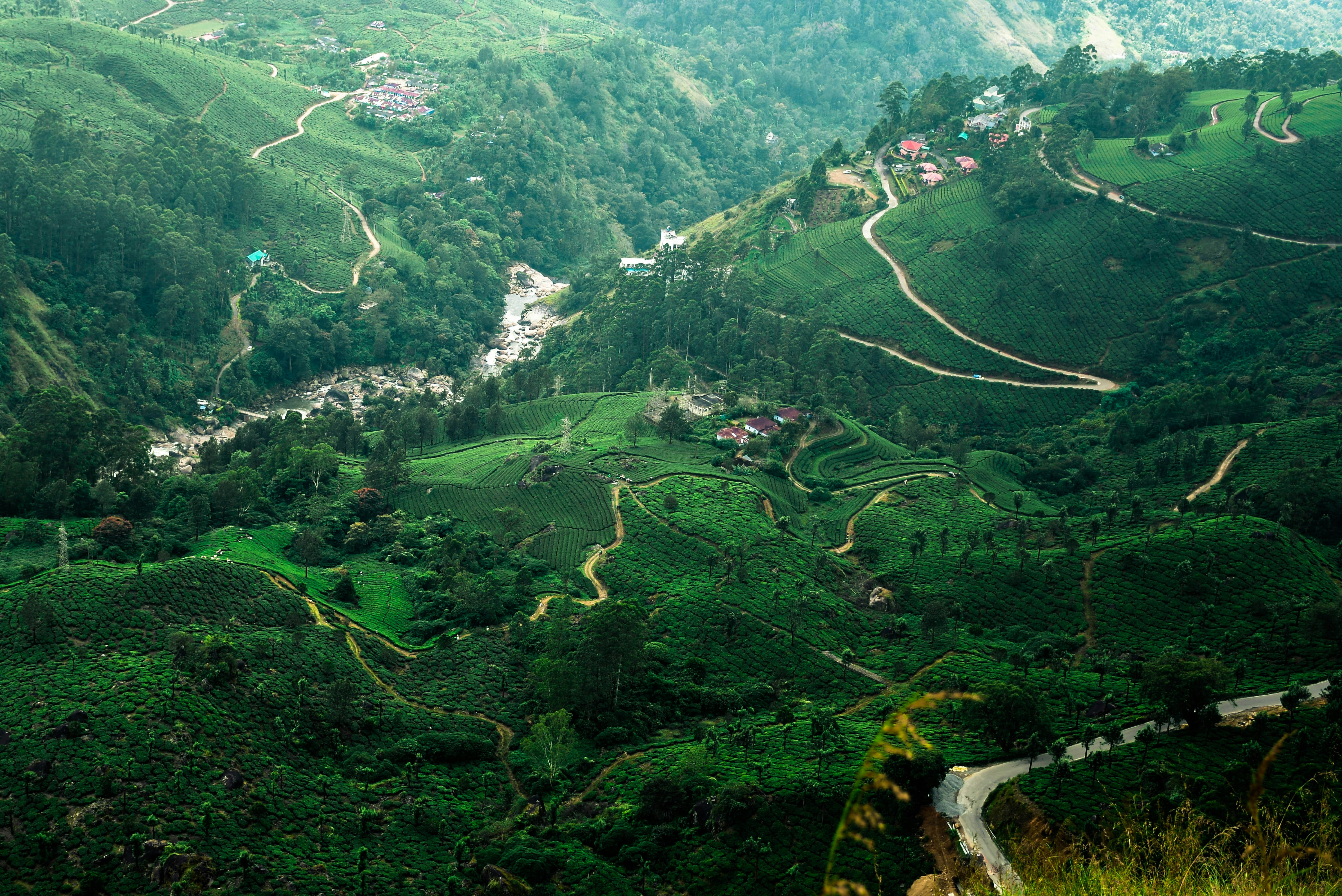 Kolukkumalai Peak